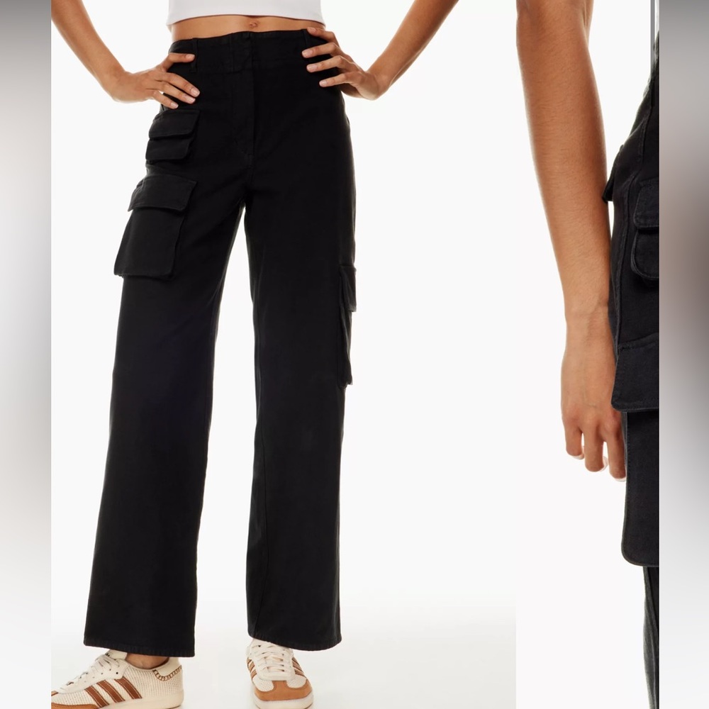 Aritizia Picture Cargo Pants